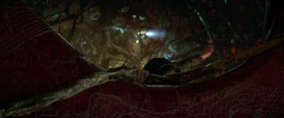 Star Trek: Strange New Worlds ScreenCaps "Hegemony, Part II" (S3:E1)
