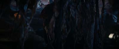Star Trek: Strange New Worlds ScreenCaps "Terrarium" (S3:E9)