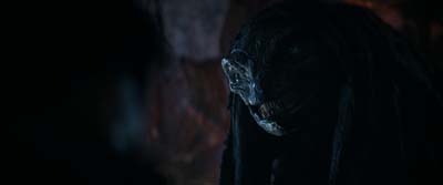Star Trek: Strange New Worlds ScreenCaps "Terrarium" (S3:E9)
