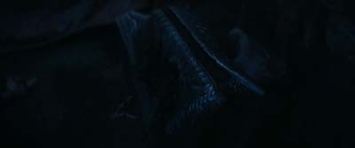 Star Trek: Strange New Worlds ScreenCaps "Terrarium" (S3:E9)