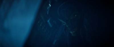 Star Trek: Strange New Worlds ScreenCaps "Terrarium" (S3:E9)