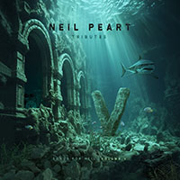 Tributes: Songs for Neil Vol. V