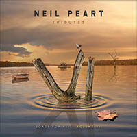 Tributes: Songs for Neil Vol. VI
