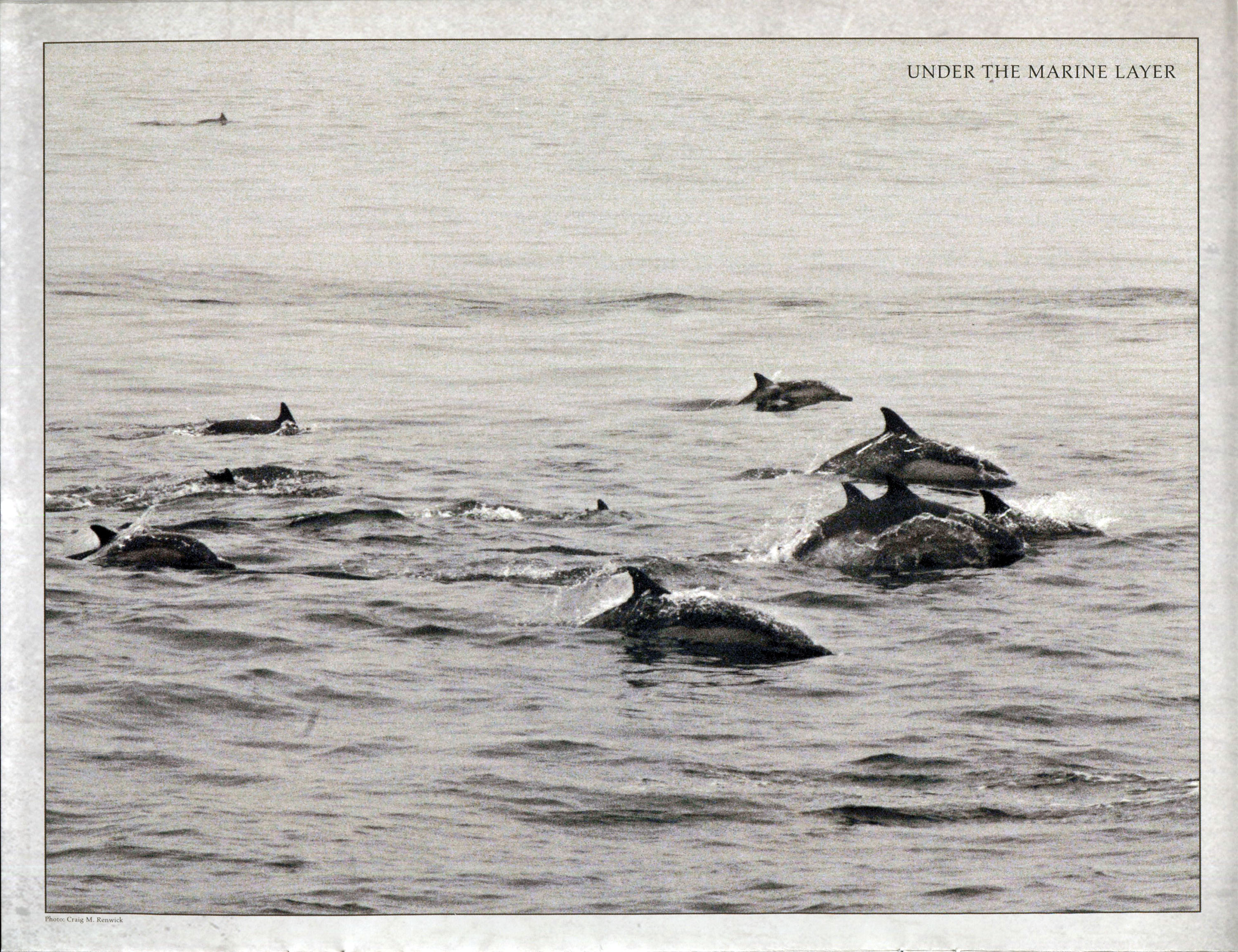 The Rush 2024 Desk Calendar